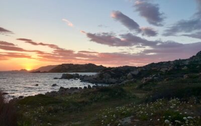 Practical Ways to Reduce Your Domestic Energy Costs