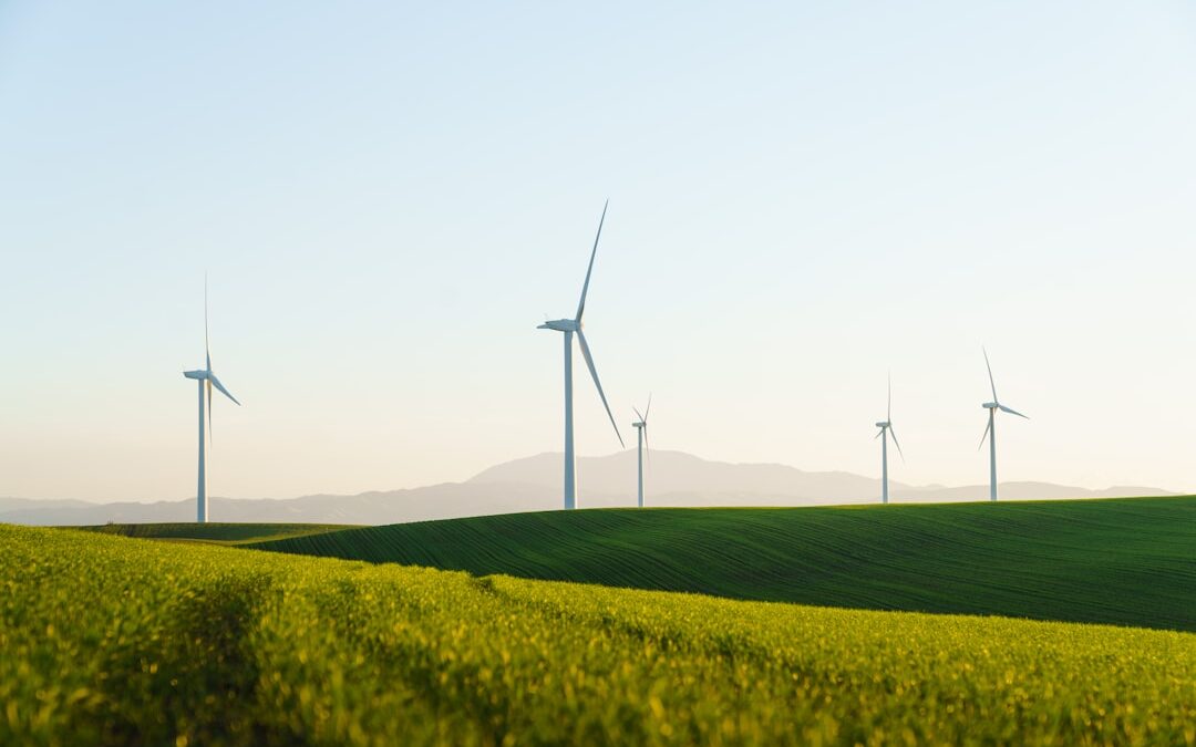 Green Energy Tariffs 2026: Are They Worth the Extra Cost?