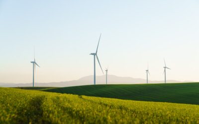 Green Energy Tariffs 2026: Are They Worth the Extra Cost?