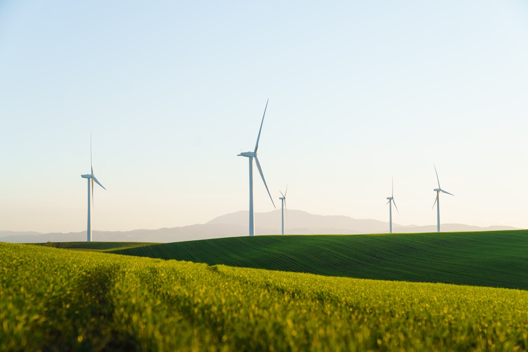 Green Energy Tariffs 2026: Are They Worth the Extra Cost?